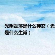 光明磊落是什么神态（光明磊落是什么生肖）