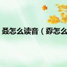 叒怎么读音（孬怎么读）