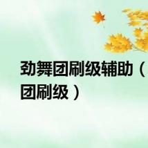 劲舞团刷级辅助（劲舞团刷级）