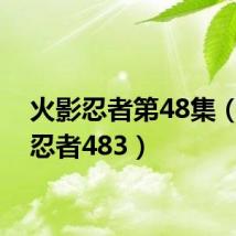 火影忍者第48集（火影忍者483）