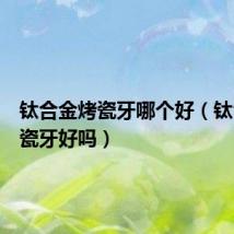 钛合金烤瓷牙哪个好(钛合金烤瓷牙好吗)