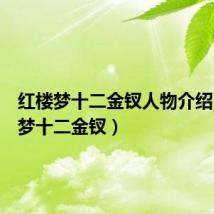 红楼梦十二金钗人物介绍(红楼梦十二金钗)