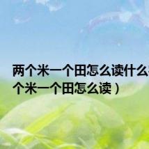 两个米一个田怎么读什么字(两个米一个田怎么读)