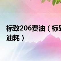 标致206费油（标致206油耗）