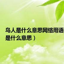 鸟人是什么意思网络用语(鸟人是什么意思)