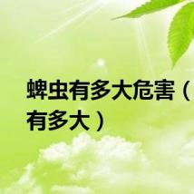 蜱虫有多大危害（蜱虫有多大）