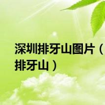 深圳排牙山图片（深圳排牙山）