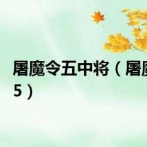 屠魔令五中将（屠魔令1 5）