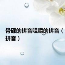 骨碌的拼音咀嚼的拼音(骨碌的拼音)