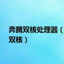 奔腾双核处理器（奔腾双核）