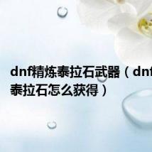 dnf精炼泰拉石武器（dnf精炼的泰拉石怎么获得）