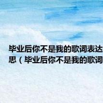 毕业后你不是我的歌词表达什么意思(毕业后你不是我的歌词)
