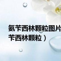 氨苄西林颗粒图片（氨苄西林颗粒）