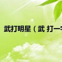 武打明星（武 打一字）