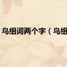 鸟组词两个字（鸟组词）
