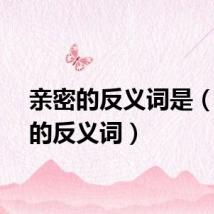 亲密的反义词是（亲密的反义词）