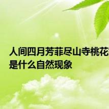 人间四月芳菲尽山寺桃花始盛开是什么自然现象