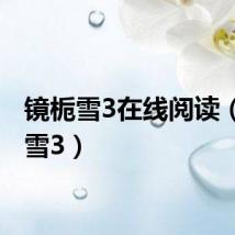 镜栀雪3在线阅读（镜栀雪3）