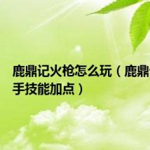 鹿鼎记火枪怎么玩(鹿鼎记火枪手技能加点)