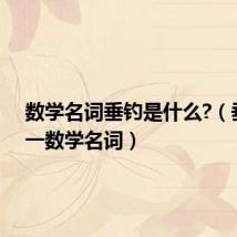 数学名词垂钓是什么?（垂钓打一数学名词）