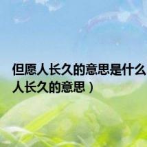 但愿人长久的意思是什么(但愿人长久的意思)
