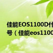 佳能EOS1100D什么型号（佳能eos1100d）