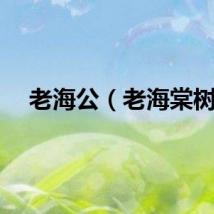 老海公（老海棠树）