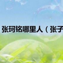 张珂铭哪里人（张子珂）