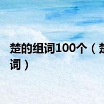 楚的组词100个（楚的组词）