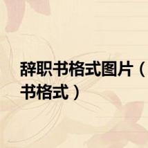 辞职书格式图片（辞职书格式）