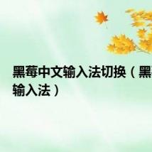 黑莓中文输入法切换(黑莓中文输入法)