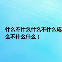 什么不什么什么不什么成语(什么不什么什么)