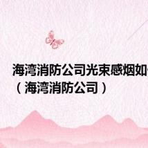 海湾消防公司光束感烟如何调试(海湾消防公司)