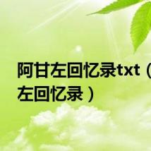 阿甘左回忆录txt(阿甘左回忆录)