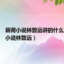 碧荷小说林致远讲的什么(碧荷小说林致远)