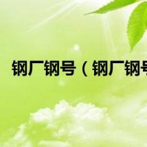 钢厂钢号（钢厂钢号）