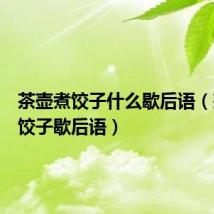 茶壶煮饺子什么歇后语(茶壶煮饺子歇后语)