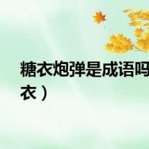 糖衣炮弹是成语吗（糖衣）