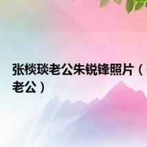 张棪琰老公朱锐锋照片(张棪琰老公)