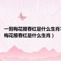 一剪梅花报春红是什么生肖?(一剪梅花报春红是什么生肖)