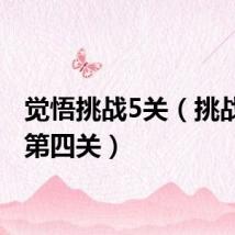 觉悟挑战5关（挑战觉悟第四关）