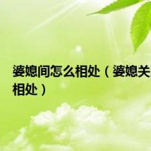 婆媳间怎么相处（婆媳关系如何相处）