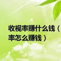 收视率赚什么钱（收视率怎么赚钱）