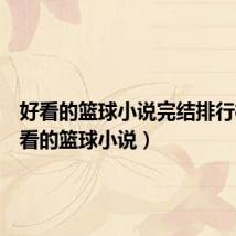 好看的篮球小说完结排行榜（好看的篮球小说）
