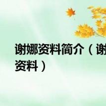 谢娜资料简介（谢娜的资料）