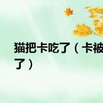 猫把卡吃了（卡被猫吃了）