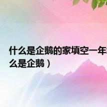 什么是企鹅的家填空一年级（什么是企鹅）