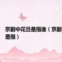 京剧中花旦是指谁(京剧中花旦是指)