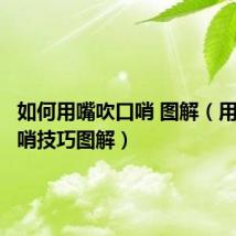 如何用嘴吹口哨 图解(用嘴吹口哨技巧图解)