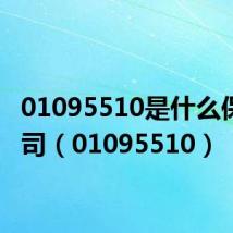 01095510是什么保险公司(01095510)